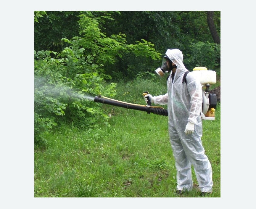 обработка территории от клещей в Новохоперске