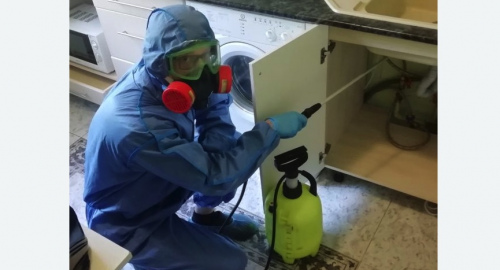 Уничтожение муравьев в квартире. Новохоперск