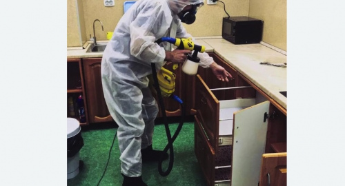 Уничтожение насекомых в квартире. Новохоперск