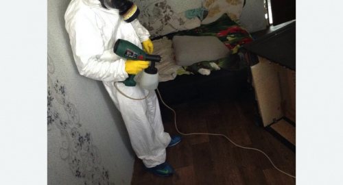 Обработка квартир от насекомых в Новохоперске