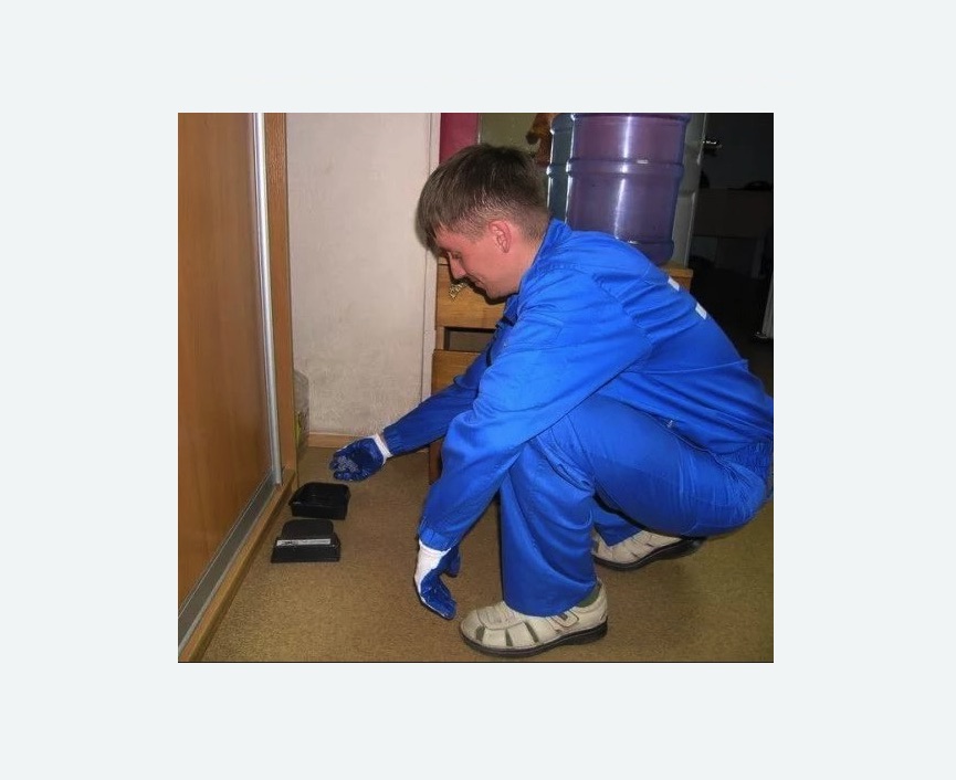 Дератизация крыс Дератизация крыс в Новохоперске