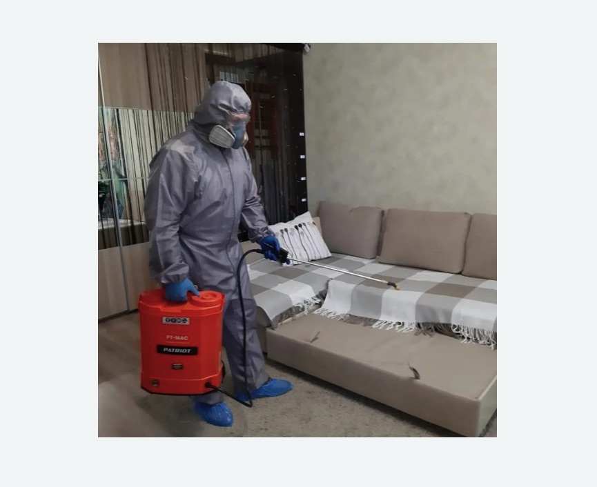 Обработка квартиры от блох в Новохоперске Обработка квартиры от блох