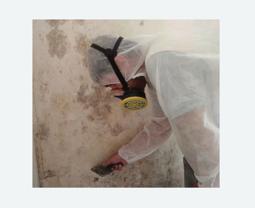Обработка стен от плесени в Новохоперске