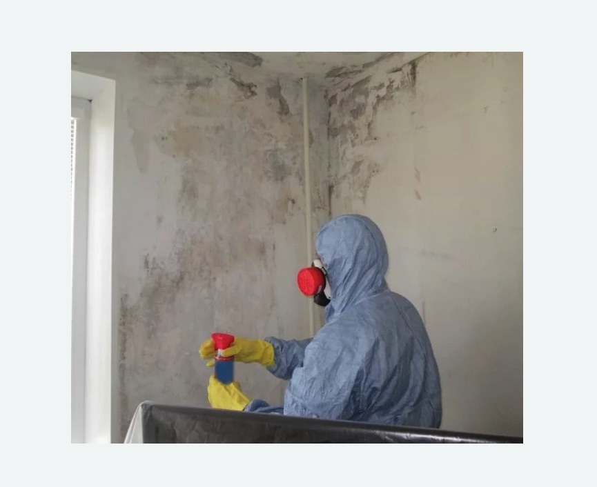 Удаление плесени в квартире в Новохоперске
