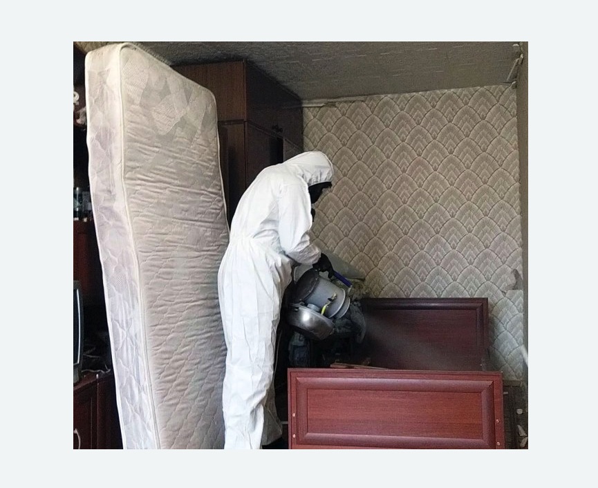 дезинфекция от клопов в Новохоперске