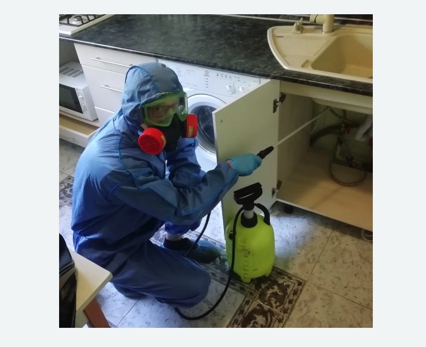 обработка от муравьев в квартире обработка от муравьев в квартире в Новохоперске