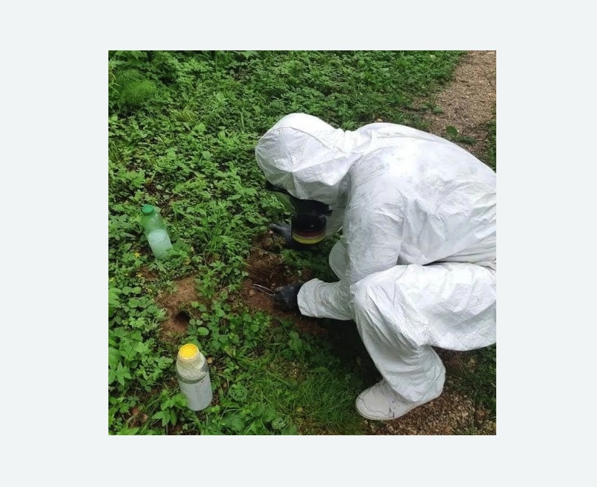 уничтожение кротов на участке в Новохоперске