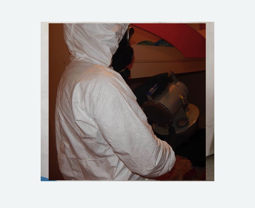 Дезинфекция от муравьев Дезинфекция от муравьев в Новохоперске