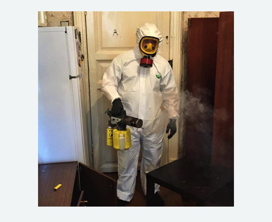 уничтожение муравьев в квартире уничтожение муравьев в квартире в Новохоперске